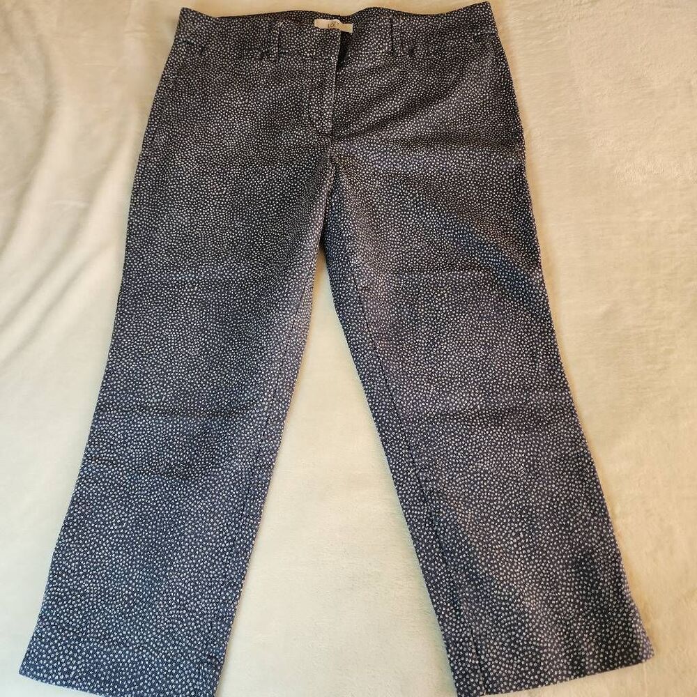 Ann Taylor Loft The Riviera PantMarisa Size 12P